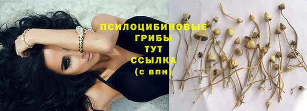 мет Арсеньев