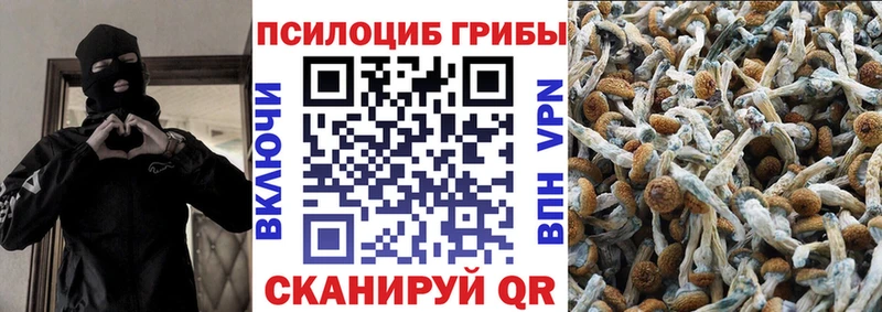 OMG ссылки  Верхнеуральск  Галлюциногенные грибы Psilocybe  закладки 