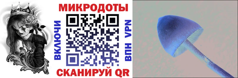 Псилоцибиновые грибы прущие грибы Верхнеуральск